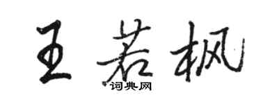 骆恒光王若枫行书个性签名怎么写