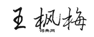 骆恒光王枫梅行书个性签名怎么写