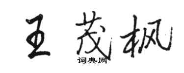 骆恒光王茂枫行书个性签名怎么写