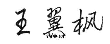 骆恒光王翼枫行书个性签名怎么写