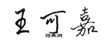 骆恒光王可嘉行书个性签名怎么写