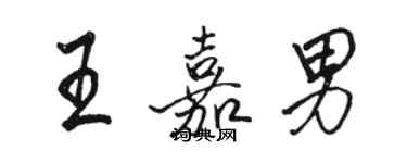 骆恒光王嘉男行书个性签名怎么写