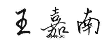 骆恒光王嘉南行书个性签名怎么写