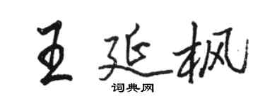 骆恒光王延枫行书个性签名怎么写