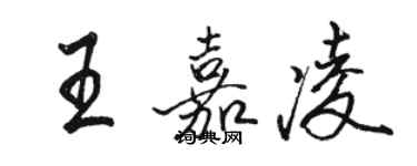 骆恒光王嘉凌行书个性签名怎么写