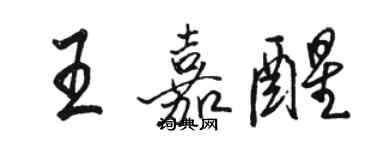 骆恒光王嘉醒行书个性签名怎么写