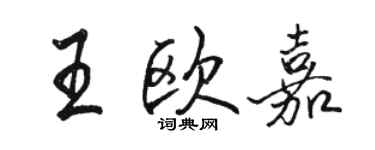 骆恒光王欧嘉行书个性签名怎么写