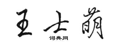 骆恒光王士萌行书个性签名怎么写