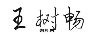 骆恒光王树畅行书个性签名怎么写