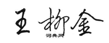 骆恒光王柳金行书个性签名怎么写