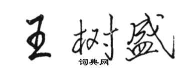 骆恒光王树盛行书个性签名怎么写