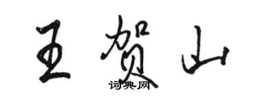 骆恒光王贺山行书个性签名怎么写