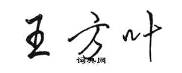 骆恒光王方叶行书个性签名怎么写