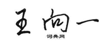 骆恒光王向一行书个性签名怎么写