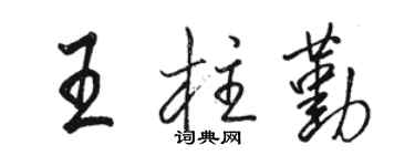 骆恒光王柱勤行书个性签名怎么写