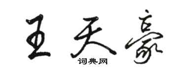 骆恒光王天豪行书个性签名怎么写