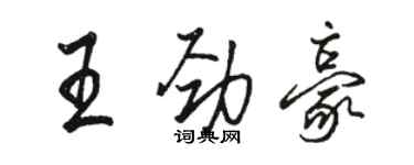 骆恒光王劲豪行书个性签名怎么写