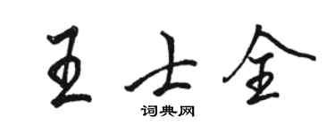 骆恒光王士全行书个性签名怎么写