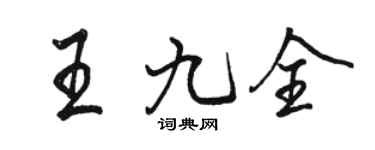 骆恒光王九全行书个性签名怎么写