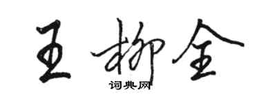 骆恒光王柳全行书个性签名怎么写