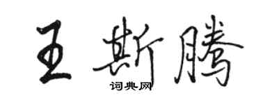 骆恒光王斯腾行书个性签名怎么写