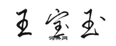 骆恒光王宝玉行书个性签名怎么写