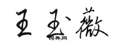 骆恒光王玉薇行书个性签名怎么写