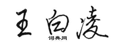 骆恒光王白凌行书个性签名怎么写