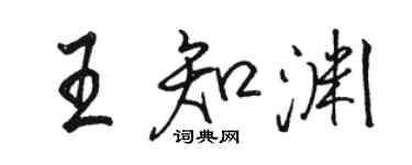 骆恒光王知渊行书个性签名怎么写