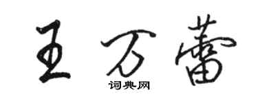 骆恒光王万蕾行书个性签名怎么写