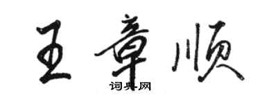 骆恒光王章顺行书个性签名怎么写