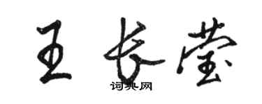 骆恒光王长莹行书个性签名怎么写