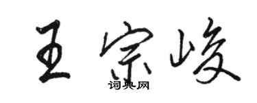 骆恒光王宗峻行书个性签名怎么写