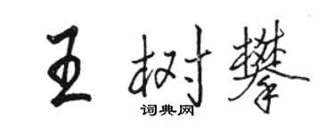 骆恒光王树攀行书个性签名怎么写