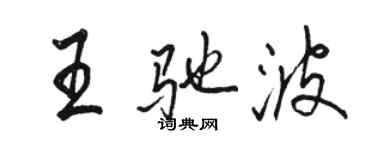 骆恒光王驰波行书个性签名怎么写