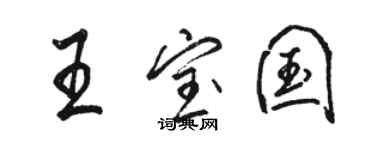 骆恒光王宝国行书个性签名怎么写