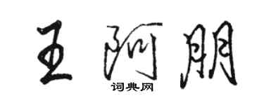 骆恒光王阿朋行书个性签名怎么写