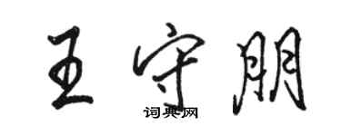 骆恒光王守朋行书个性签名怎么写