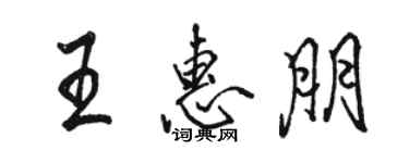骆恒光王惠朋行书个性签名怎么写
