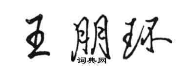 骆恒光王朋环行书个性签名怎么写