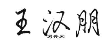 骆恒光王汉朋行书个性签名怎么写