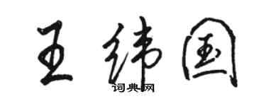 骆恒光王纬国行书个性签名怎么写