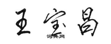 骆恒光王宝昌行书个性签名怎么写
