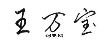 骆恒光王万宝行书个性签名怎么写