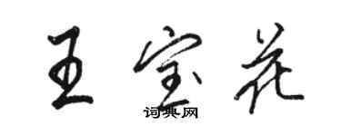 骆恒光王宝花行书个性签名怎么写