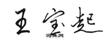 骆恒光王宝起行书个性签名怎么写