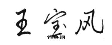 骆恒光王宝风行书个性签名怎么写