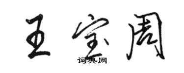 骆恒光王宝周行书个性签名怎么写