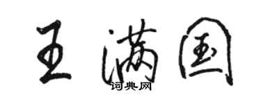 骆恒光王满国行书个性签名怎么写