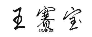 骆恒光王赛宝行书个性签名怎么写